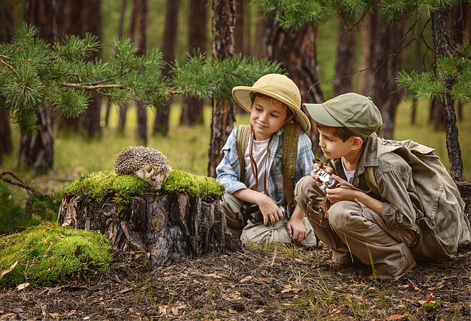 Zwei Jungen lernen etwas über einen Igel im Wald.