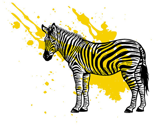 Zeichnung eines Zebras