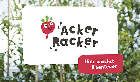 Weiterlesen über Abenteuer auf dem Acker